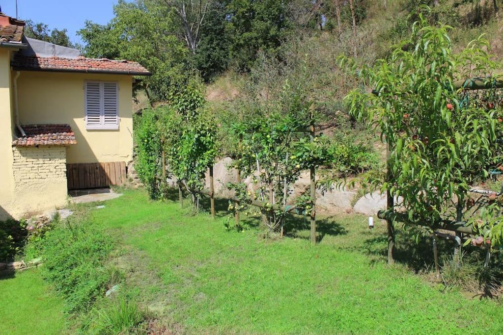 Casa Barulli - Tuscany San Giovanni Valdarno Esterno foto